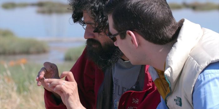 A New Type of Cellular Communication is Discovered