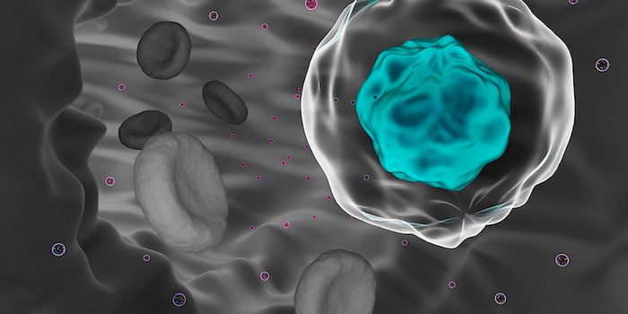The Hunt for Circulating Tumor Cells: CTC Detection for Oncology Research