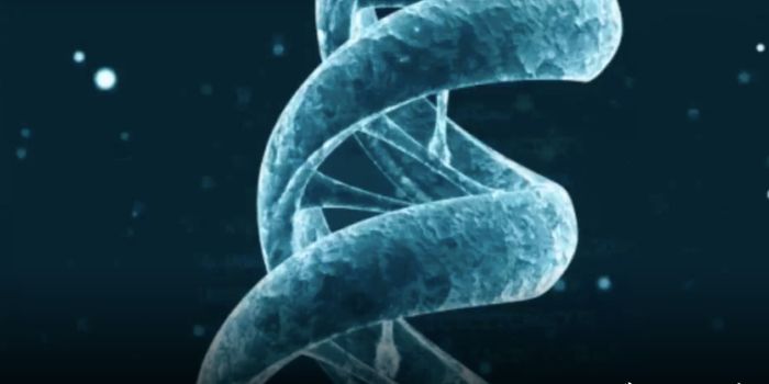 An Improved Alzheimer's Model Adds Genetic Diversity