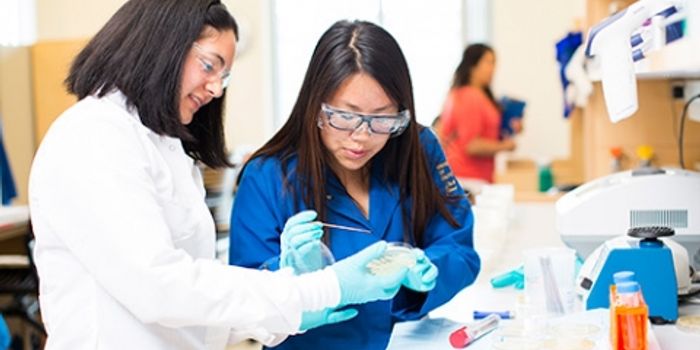 Breakthrough in Diagnosis & Treatment of Biofilm Infections