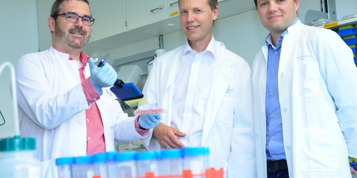 Newly Found NK Cell Memory For Treating Melanoma