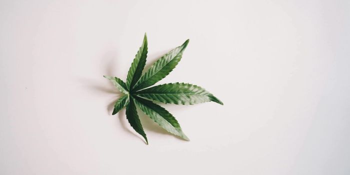 Police Methods for Assessing Cannabis Use Based on Pseudoscience