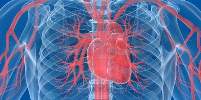 New Model for Predicting Heart Disease Risk Worldwide