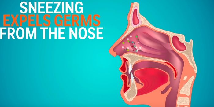 Why You Shouldn't Hold in a Sneeze
