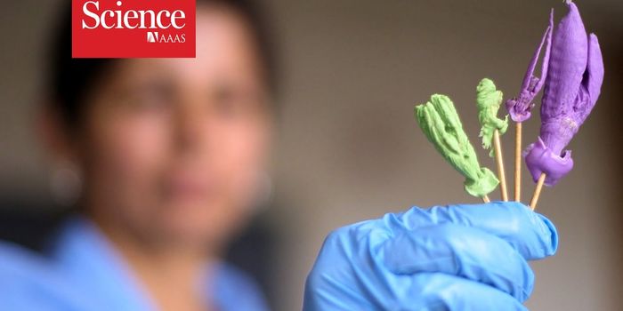 For This Researcher, Genitalia Isn't Taboo, it's Basic Science