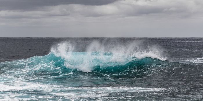 The methane-eating microorganisms in the ocean