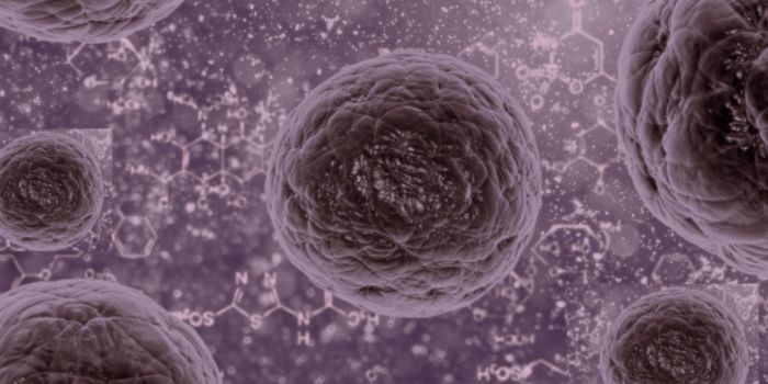 Gut Microbes Can Leave the Intestine to Battle Cancerous Tumors