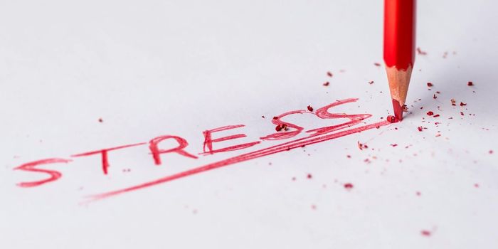 Mild Stress May Trigger PTSD in Individuals with Autism