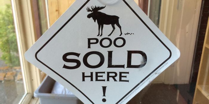 DIY Fecal Transplants Improve Symptoms in 82% of People