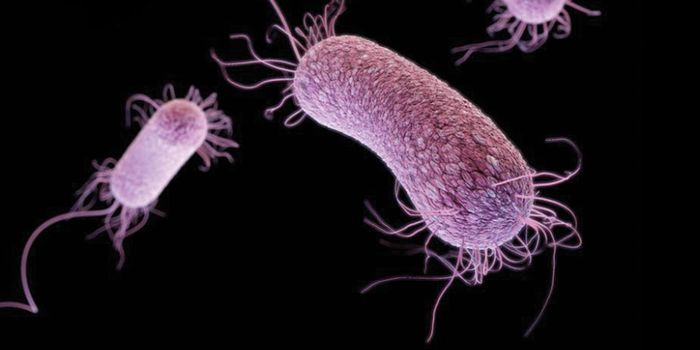 Attacking Persistent Bacteria