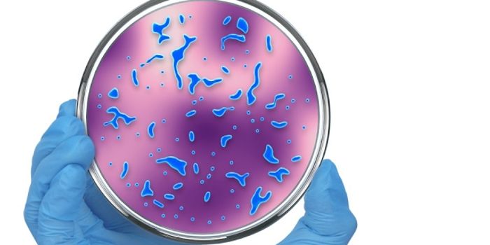 Newly Discovered Protein can Boost Vaccine Efficacy