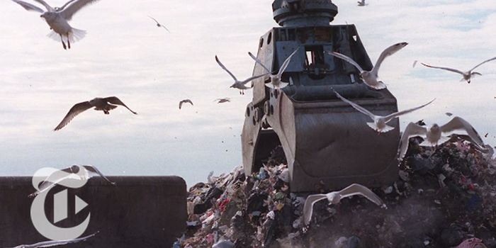 NYC: Where does my trash go?