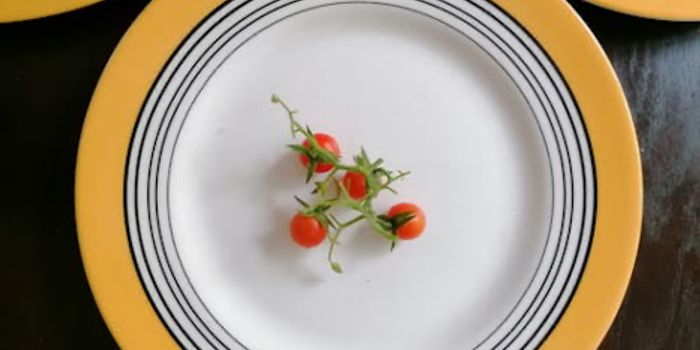 Calorie Restriction and Aging