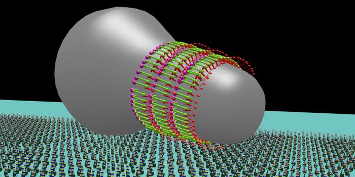 The Mechanics of a Gliding Microbe, Revealed
