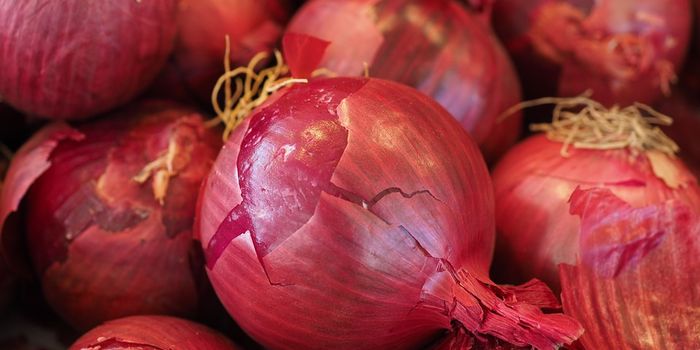 New Compound in Onions Halts Ovarian Cancer Proliferation