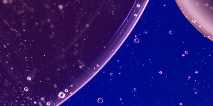 SNIPE - A Bacterial Defense Against Viral Invaders