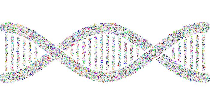 Correcting Genetic Mutations Leading to Heart Disease with CRISPR