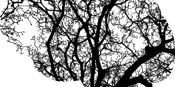 The first of its kind: a brain tumor vaccine