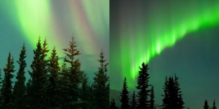 Picket Fences & STEVEs - What Causes These Aurora-Like Phenomena?