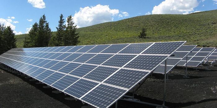 Using Solar Panels to Grow Food and Produce Clean Energy at the Same Time