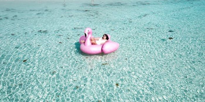 Eating Habits Vary with Seasons