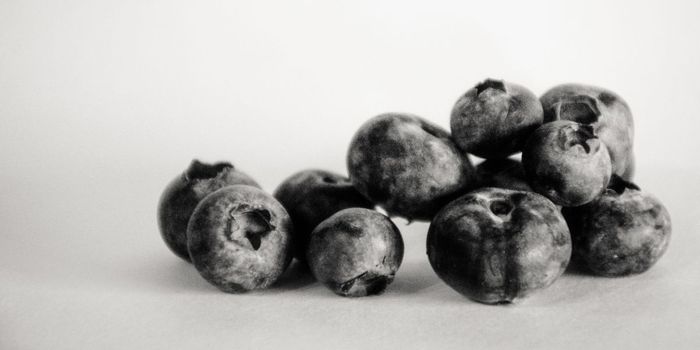 Higher Antioxidant Levels Linked to Lower Dementia Risk