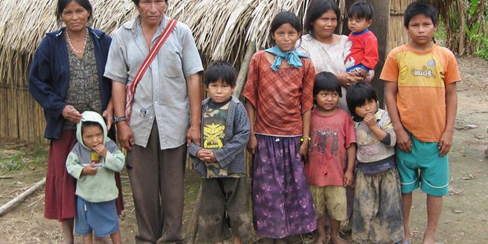 "Winner Effect" of Kill Tempered by Oxytocin in Hunters