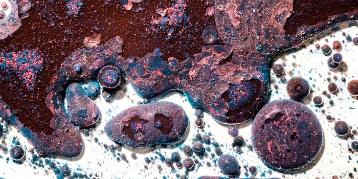 Finding New Cancer Drugs