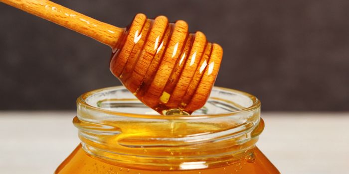 Babies, honey, and botulism