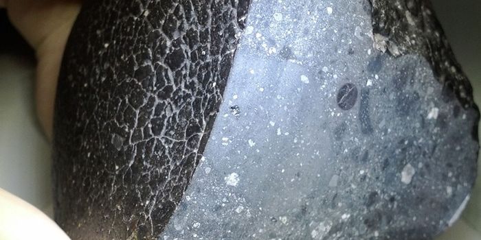 Oldest Evidence of Hot Water on Mars Found in 4.45 Billion-Year-Old Zircon Grain