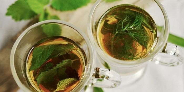 A Tale of Two Teas and How They Impact Weight Loss