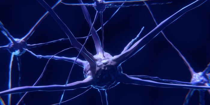 A Molecular Mechanism Underlying Long-Term Memory is Revealed