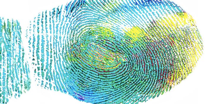 AI Suggests Fingerprints are not as Unique as Thought