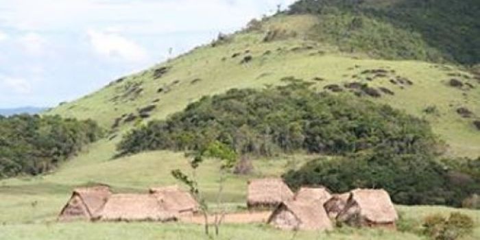 Genes from Tribe Would Deactivate Antibiotics