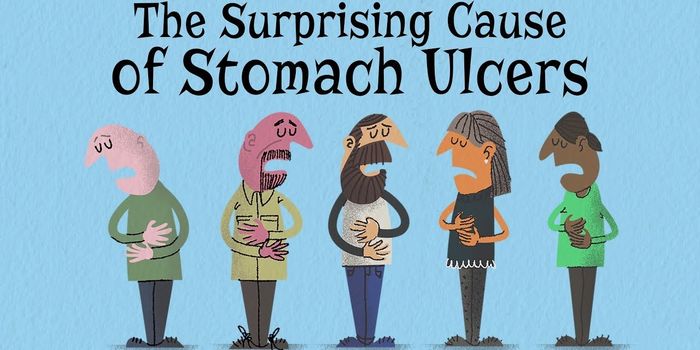 Can Stress Really Give You an Ulcer?