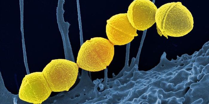 Experts Call for Alternatives to Antibiotics for Small Infections