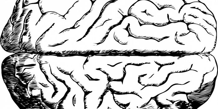 Investigational Alzheimer Drug Wins Fast-Track Status