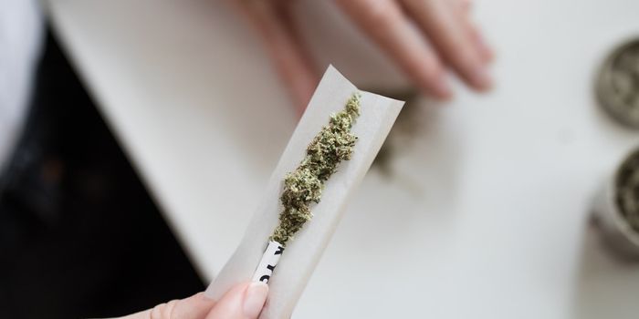 Does Legalization of Cannabis Mean Users Actually Use Legal Sources?