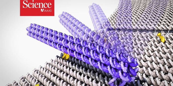 Nanoscale Robots Made of DNA