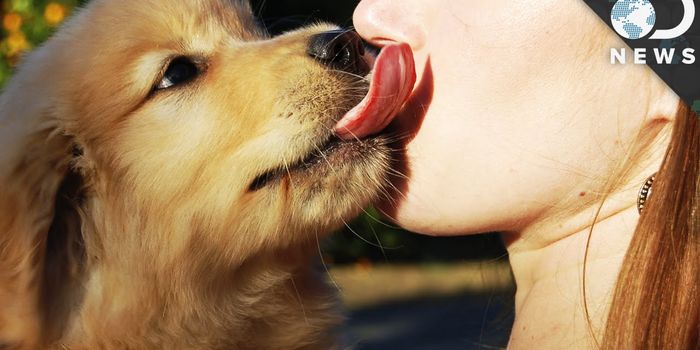 Don't Kiss That Dog!