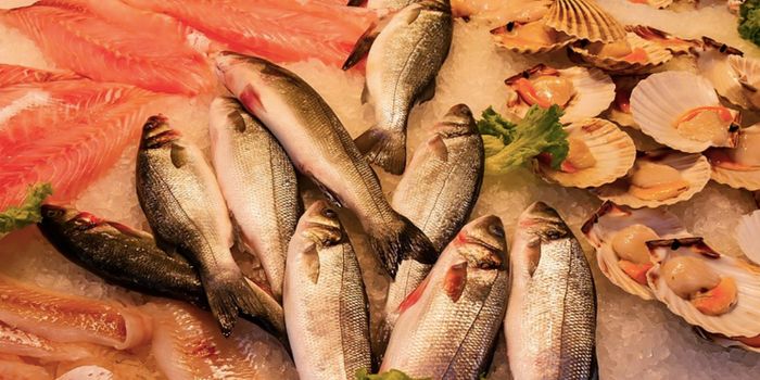 Vitamin B12 is a Crucial to Cellular Reprogramming & Tissue Regeneration