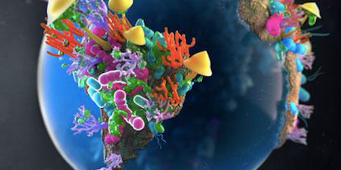 The War Beneath Our Feet