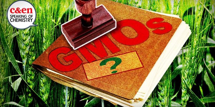 How are GMOs Regulated?