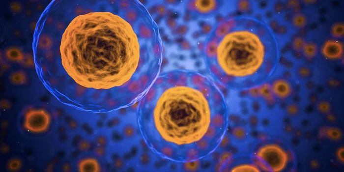 Parts of the Human Immune System Trace Back to Ancient Bacteria