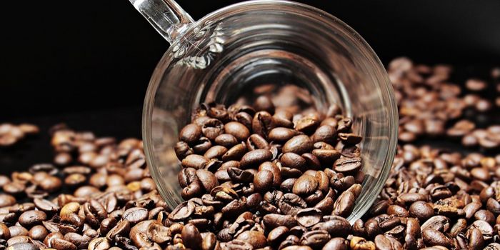 Coffee Bean Extracts for Fat-induced Inflammation
