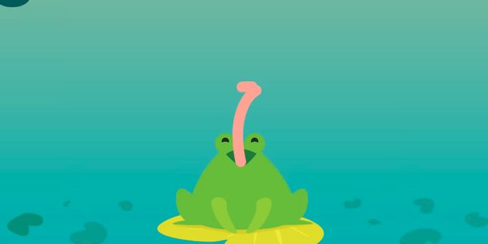 Learn What Makes a Frog's Tongue So Amazing