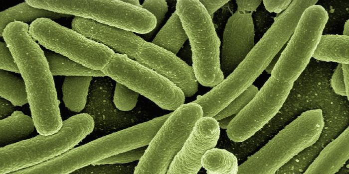 Is a Bacterial Toxin to Blame for Increased Early-Onset Colorectal Cancer Rates?