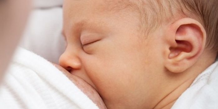 Breast Milk is Brain Food for Preemies
