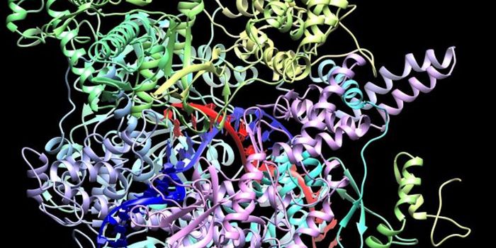 CrAssphages and the Manipulation of the Microbiome