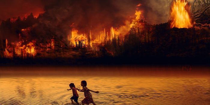 Tracking the health of the Amazon with drones